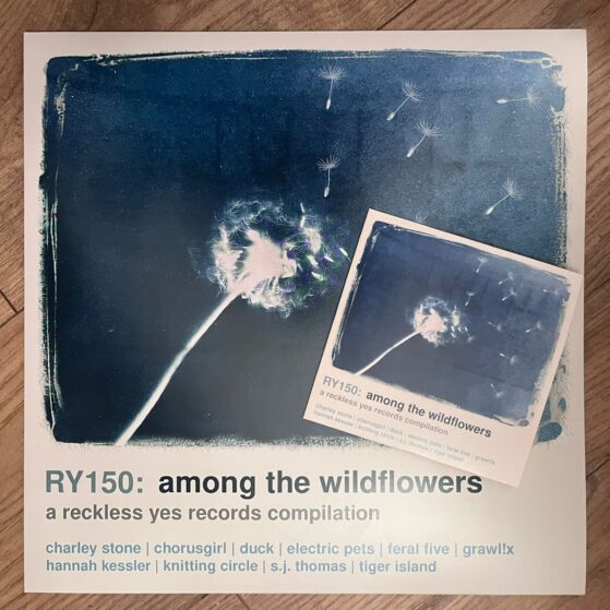 Vinyl and CD cover art for RY150 Among The Wildflowers. Artwork shows a cynatope image of a dandelion with seeds blowing in the wind, along with the album title and list of artists on the compilation